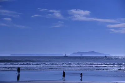 DSC_0846 (Large).JPG